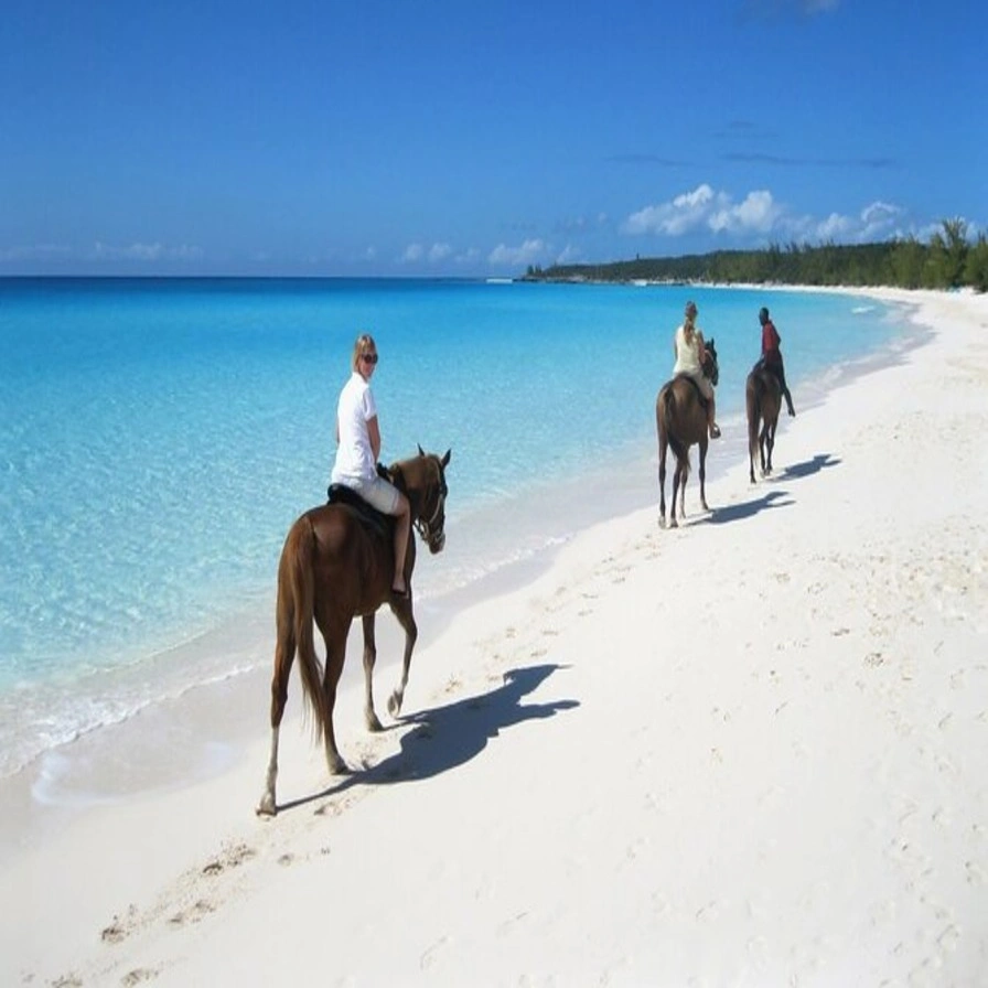 Horseback Riding Along Macao Beach and Countryside