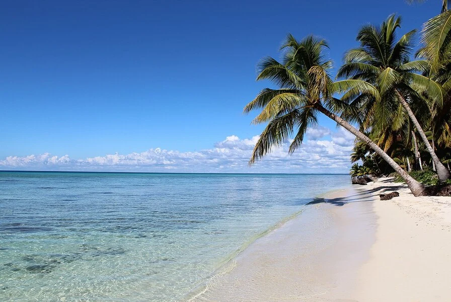1. Saona Island Beach & Natural Pool Tour