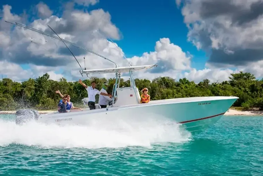 Private Isla Saona & Palmilla Tour