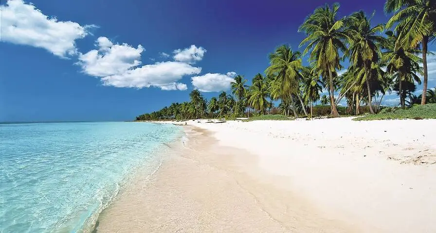 Fact 7: Lush Landscape from Uvero Alto to Cap Cana