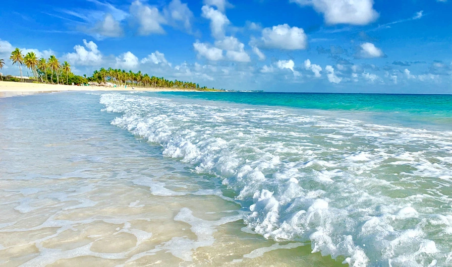 Step 1 - Choose the Best Time to Visit Punta Cana