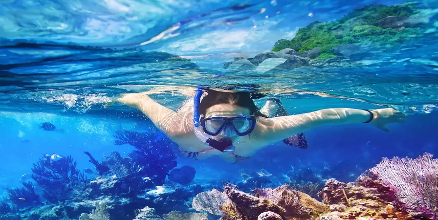 Catalina Island Snorkeling and Beach Excursion