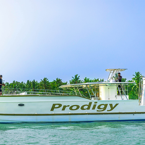 1 Private Catamaran 3 hours