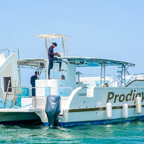 4 Private Catamaran 6 hours