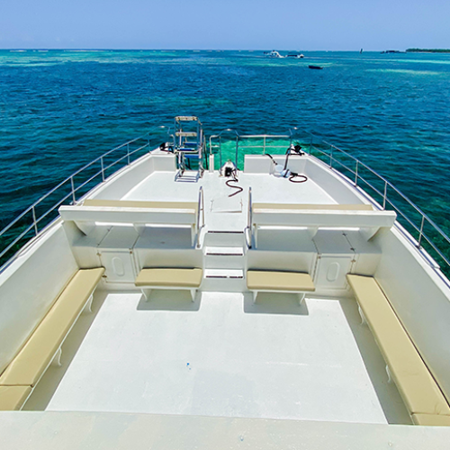 5 Private Catamaran 6 hours